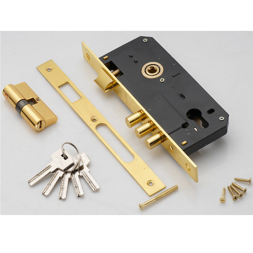 Mortise Lock Body and Door Cylinder With Keys
